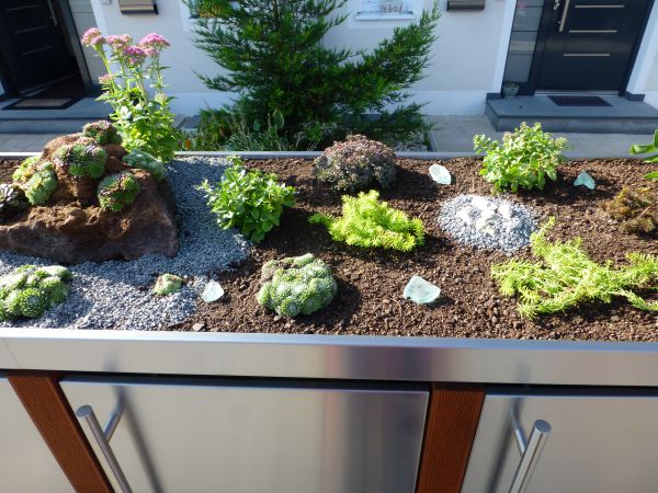 Bepflanzung für Mülltonnenboxen mit Pflanzdach